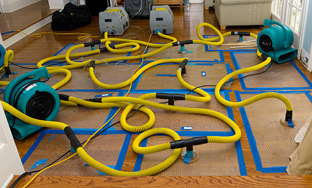 Professional Water Damage Repair technician working in Springdale, WA
